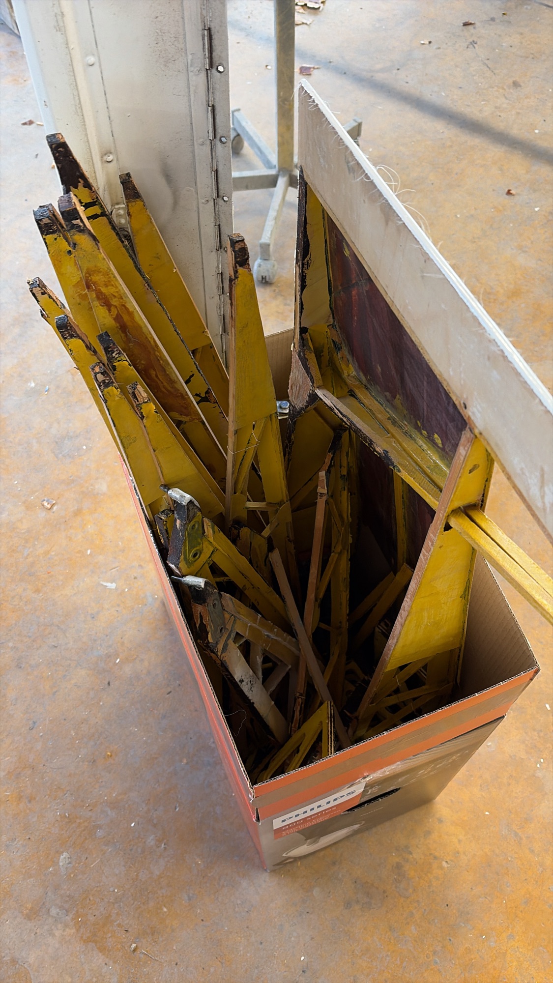 2c64615b 821f 431a b446 a8b247c3a359 - 2c64615b-821f-431a-b446-a8b247c3a359.jpg