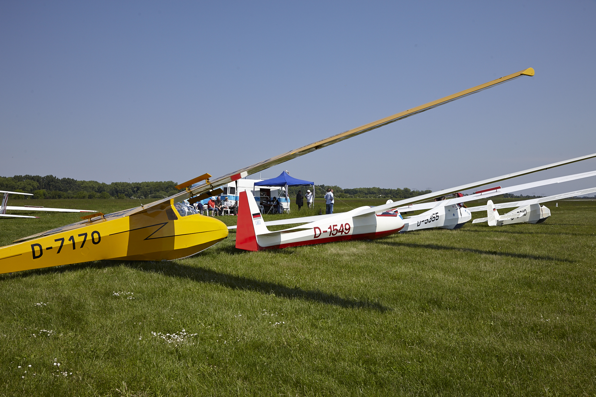 MG 0765 - Titel Spatzen 2013