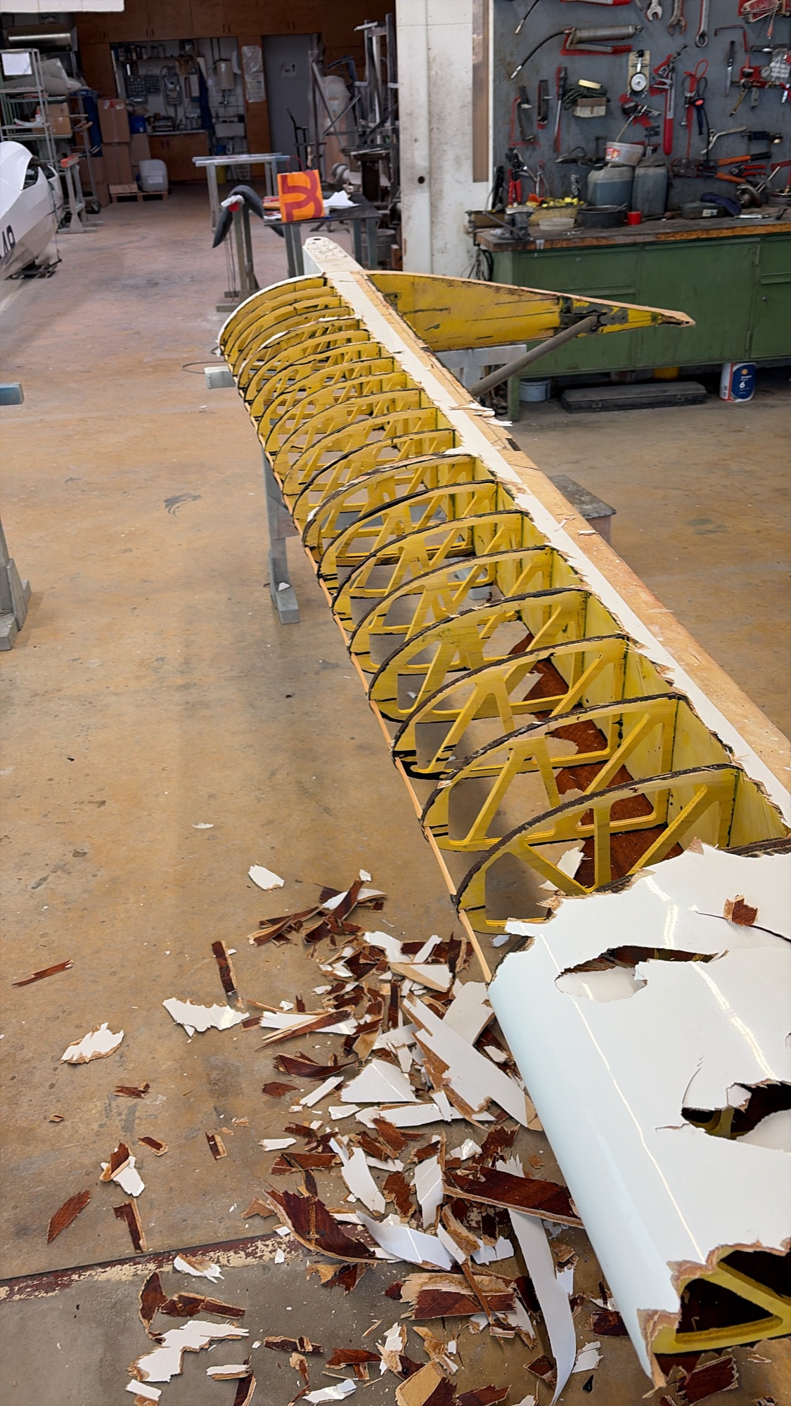 ba33e9a2 e5ad 4eef 8c77 a5ffa813cd94 - ba33e9a2-e5ad-4eef-8c77-a5ffa813cd94.jpg