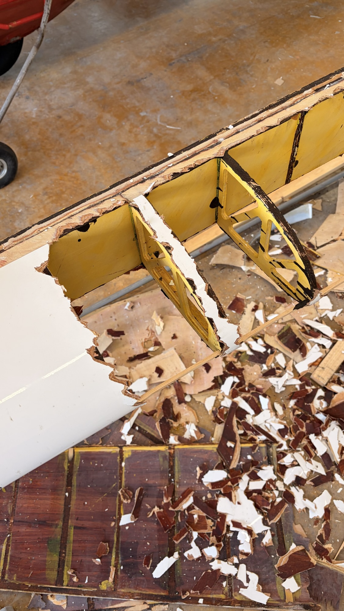 img 8186 - img_8186.jpg