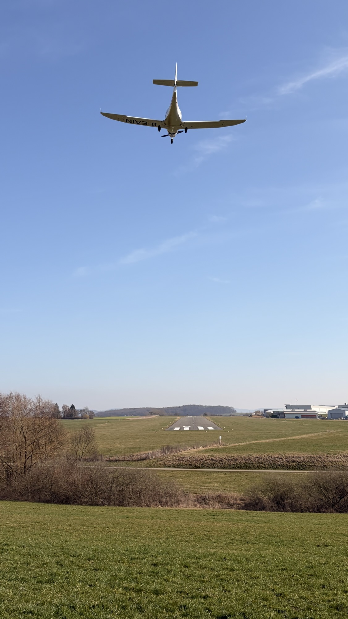 img 8336 - img_8336.jpg