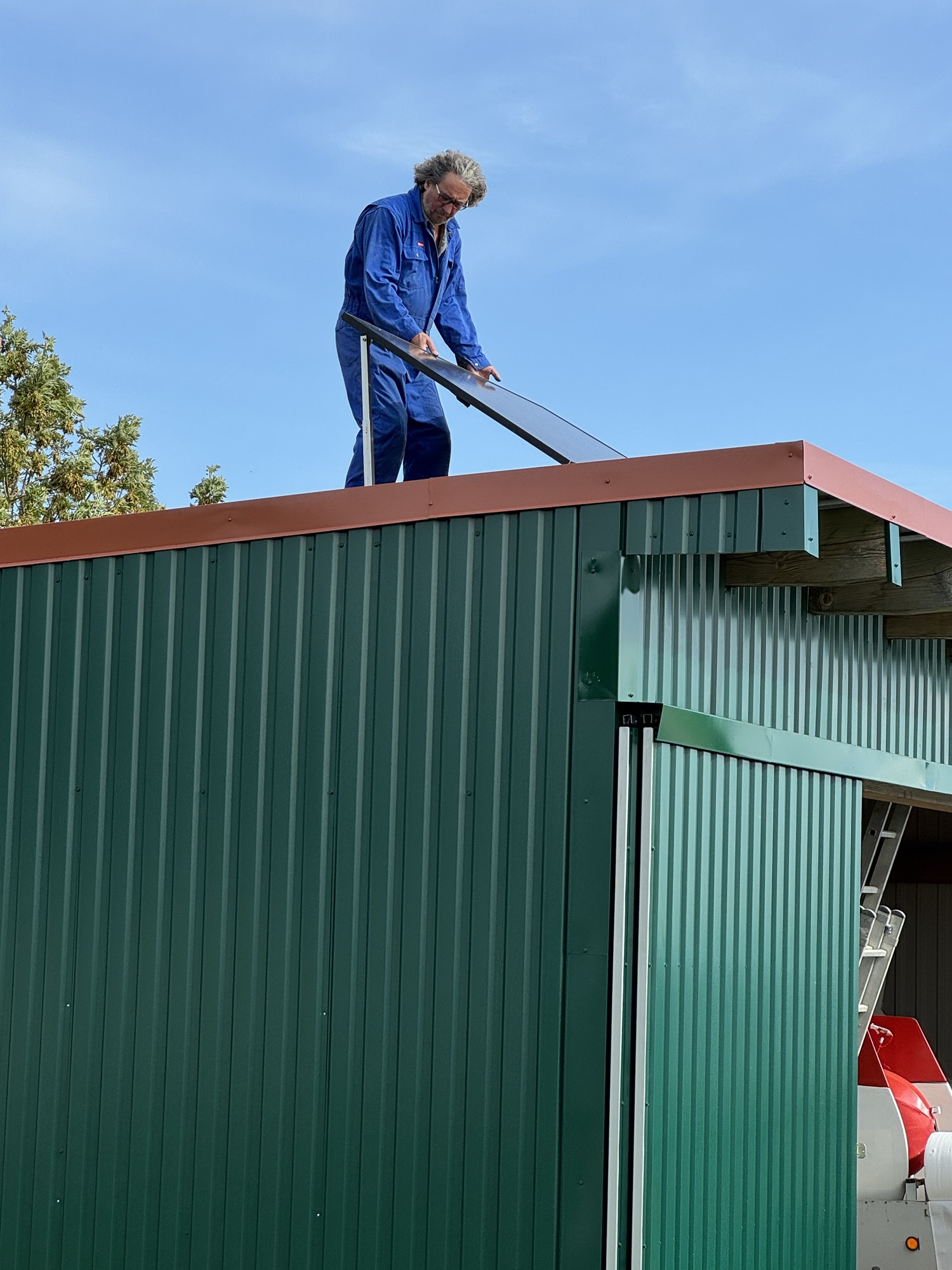 img 8450 - img_8450.jpg