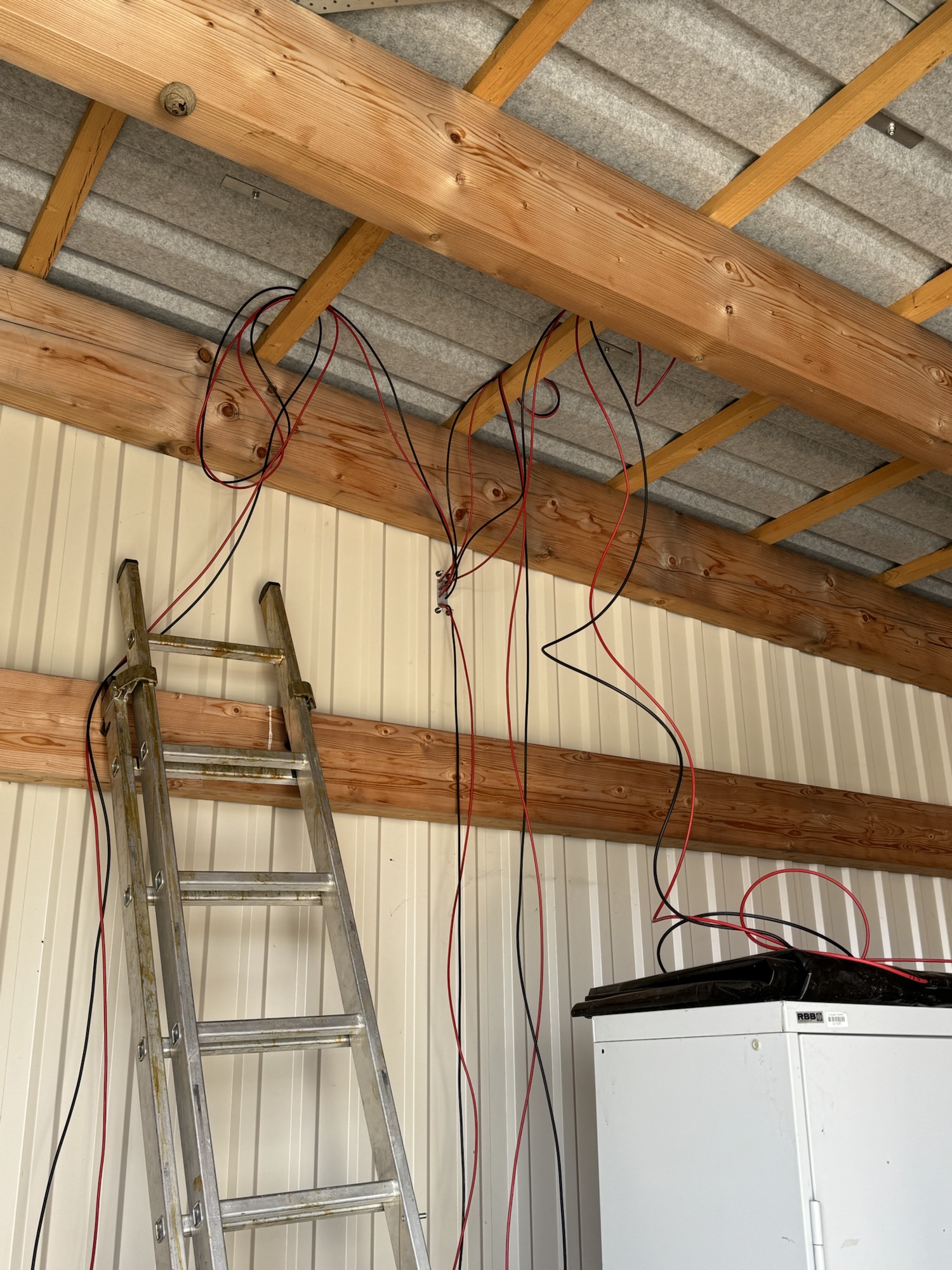 img 8453 - img_8453.jpg