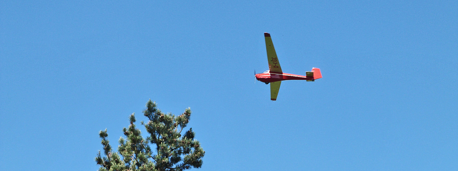 kopf afalke 2 - kopf_afalke-2