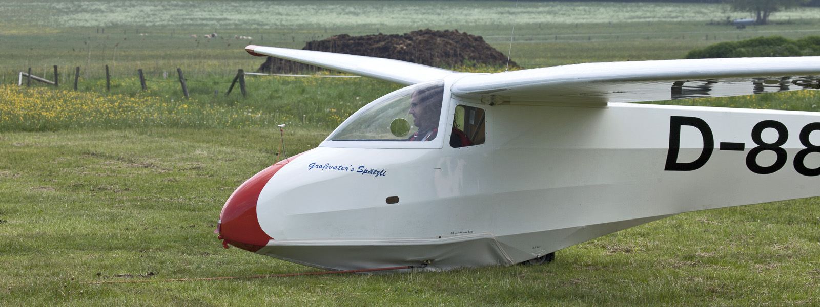 kopf lspatz55 - kopf_lspatz55