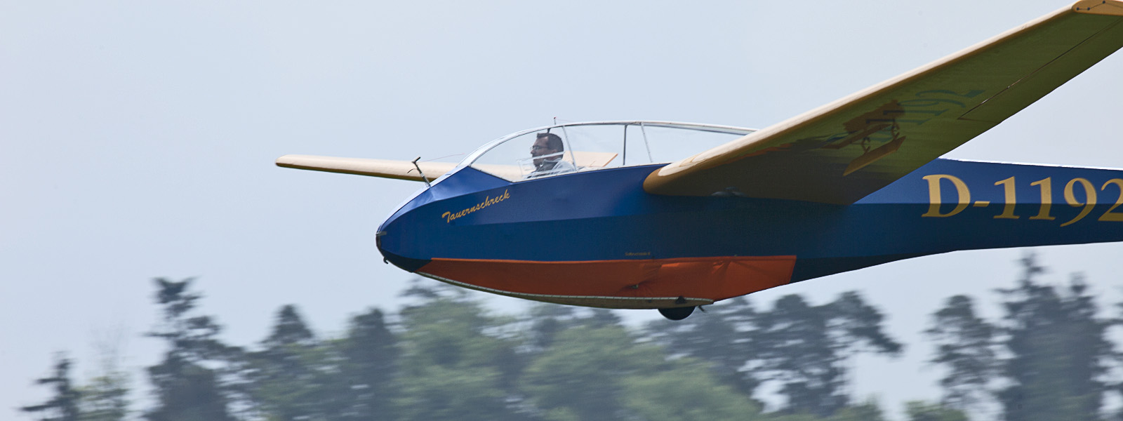 kopf mue 3 - kopf_mue-3