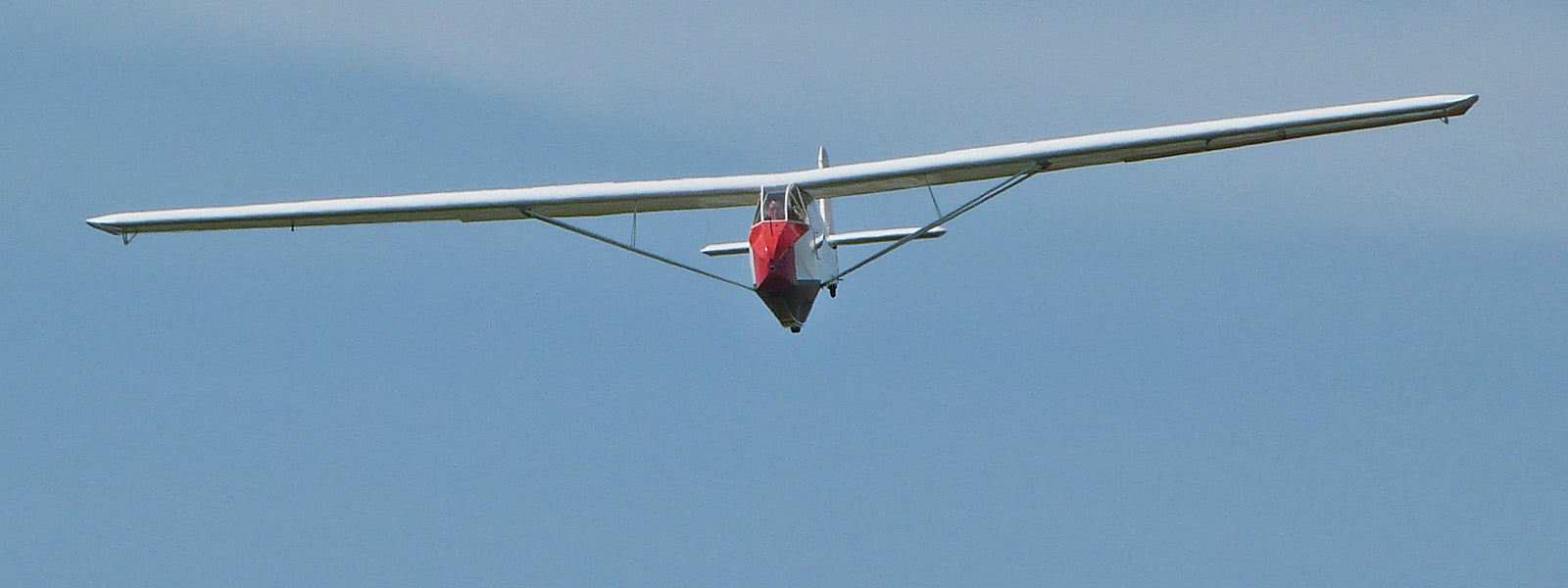 kopf specht 3 - kopf_specht-3