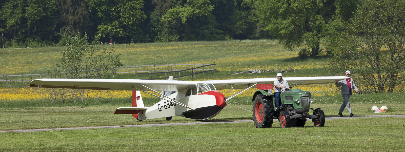 kopf specht 6 - kopf_specht-6